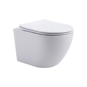 Randloos design toilet - 360 Flush incl. softclose zitting - Glans wit