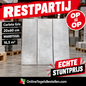 Restpartij Carlota Gris 20x60 - 16.5m2
